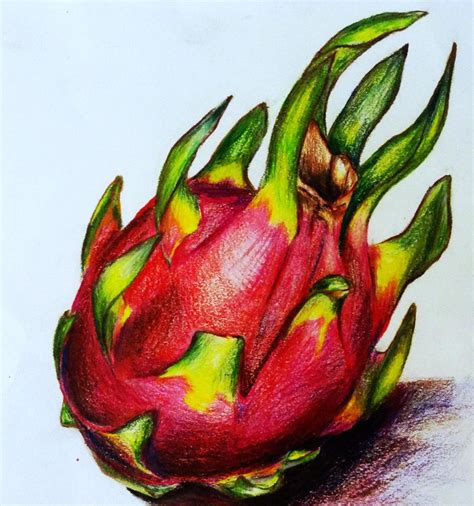 His real name is lee jong hui. Dragon fruit Still Life by yunsart on DeviantArt