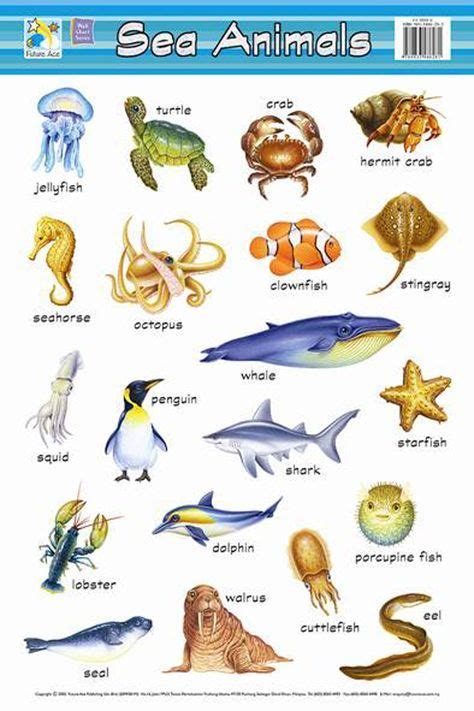 7 best SEA ANIMALS LIST NAMES images on Pinterest | Names, Animal