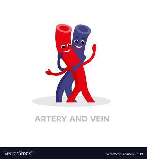 Healthy Vein And Artery Cartoon Character Isolated
