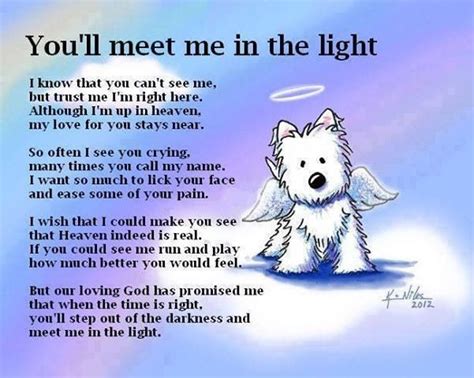 Quotes About Dogs In Heaven Quotesgram