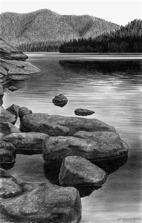 Amazing Real Life Pencil Drawings By Doug Fluckiger Show Nature In