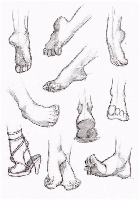 Human Foot Proportions Drawing Oswaldo Gladden