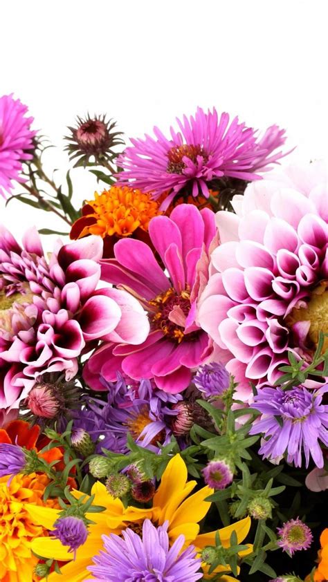Floral Wallpaper Iphone Pixelstalknet