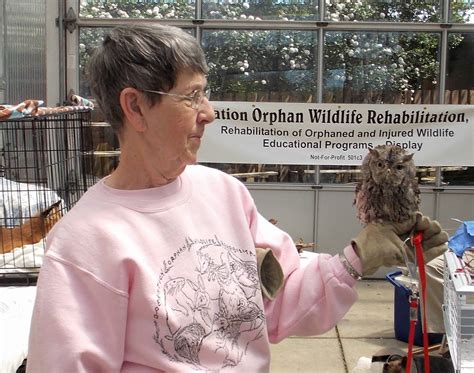 Carrollton Koa Rehabilitating Orphan And Injured Wildlife Since 1962