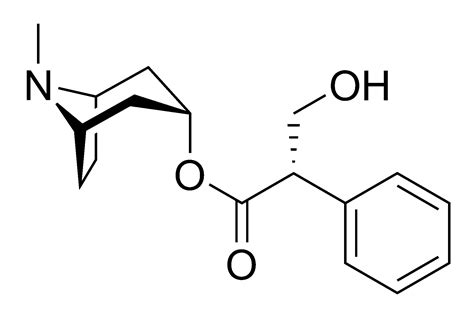 Filehyoscyamine Chemical Structurepng Wikipedia