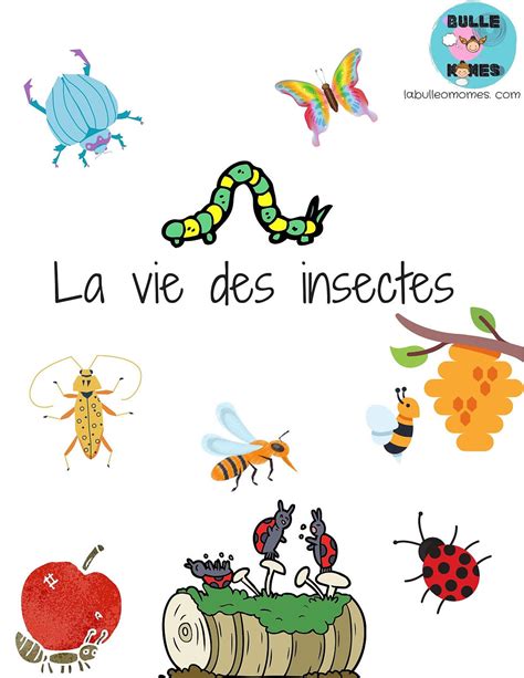 Tout Sur Les Insectes