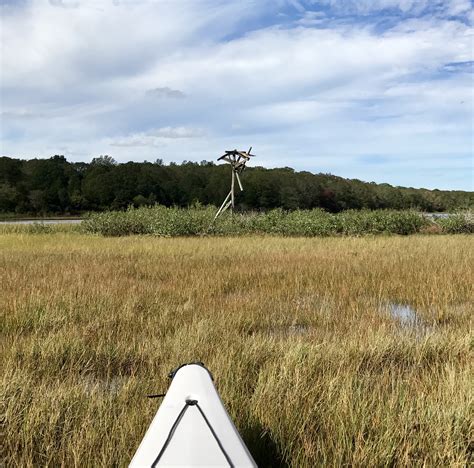 Upper Cedar Island Reserve Dartmouth Natural Resources Trust Dnrt