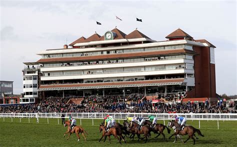 Newbury Races Tips Racecards Odds And Betting Preview For Todays