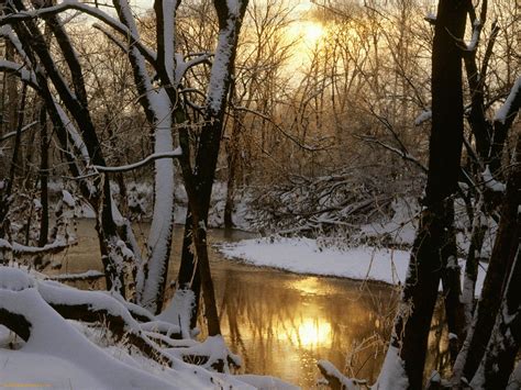 Winter Scenes Nature Harpeth River Sunrise 177194 1