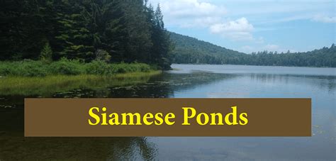Siamese Ponds Protect The Adirondacks