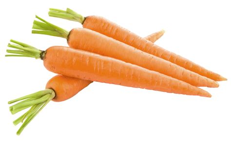 Carrot Png Image Transparent Image Download Size 2972x1820px