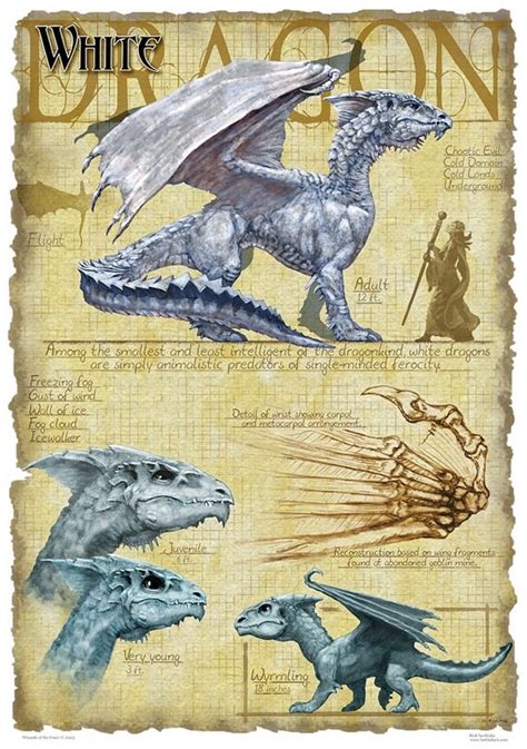 Items Similar To White Dragon Print Draconomicon Chromatic Dragon