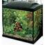 Superfish Start 50 Complete Tropical Aquarium Fish Tank Set 50L  Hills