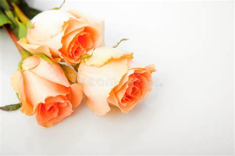 Bouquet Of Orange Roses Stock Image Image Of Basket 28543279