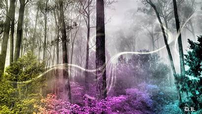 Enchanted Forest Wallpapers Backgrounds Woods Forrest Pixelstalk