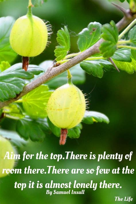 This conditioning ingredient improves scalp health by tackling dandruff and scalp aggravation. #quotes | Home remedies for hair, Skin care benefits, Amla