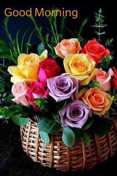 Good Morning Wishes Good Morning Flowers Pictures Good Morning