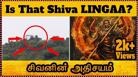Lord Shiva Caught On Camera Shiva Spotted In Real Life 2020