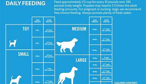 Dog food measurements | Puppy feeding schedule, Dog feeding schedule