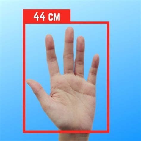Hand Distance Measurement Computer Vision Zone