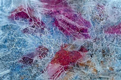 Ice Crystal Texture