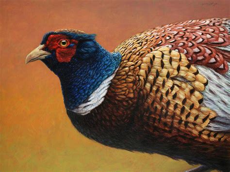 Portrait Of A Pheasant Painting By James W Johnson Pixels