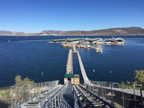 It's a dream destination for power boaters and adventurers. Desert Tortoise Campground - Review of Lake Pleasant ...
