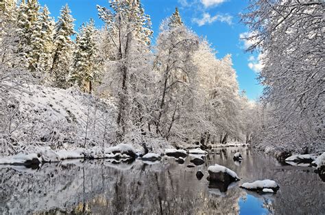 Winter River Trees Forest Landscape Reflection Wallpaper 4288x2848