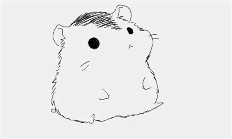 Hamster Cute And Anime Image Cute Art Cute Animal Drawings Animal