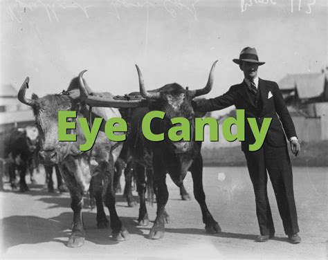 Eye Candy What Does Eye Candy Mean