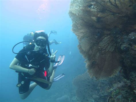 Koh Doc Mai Flower Island Scuba Dive Phuket · Aussie Divers Phuket