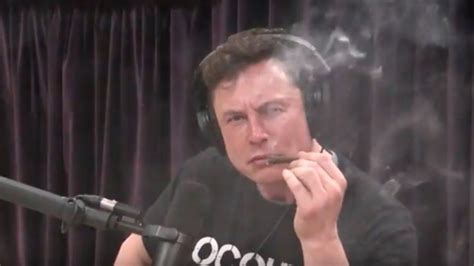 Elon Musk Has No Idea How To Smoke Weed Says Elon Musk