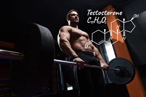 TRT- Your Body, Your Choice... – Nads