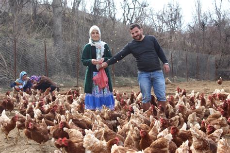 Atanamayan Eşine Destek Olmak Istedi Tavuk Çiftliği Kurdu Haberler