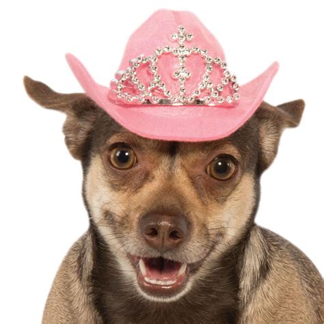 Cowboy Princess Hat Dog Costume Pink Baxterboo