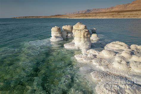 Salt Formationdead Sea Israel F7 Photograph By Dan Yeger