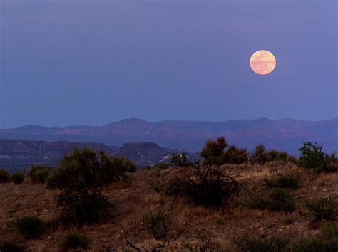 Desert Full Moon Photograph By Mockingbird Imagery Fine Art America