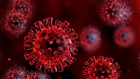 Coronavirus Information And Faqs