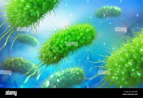 Escherichia Coli Colony Of Bacteria 3d Illustration Microorganisms In