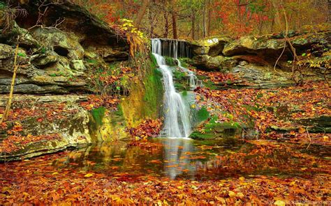 Waterfall Autumn Lovely Stream Fall Nature Leaves
