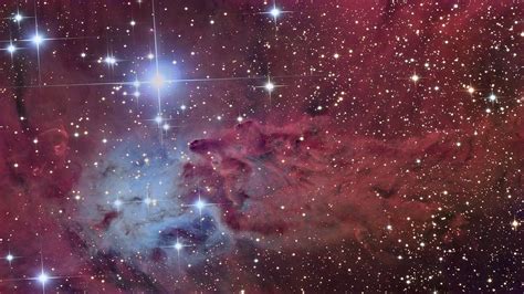 Fox Fur Nebula 586988