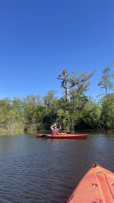 Kayak Big Cypress National Preserve 2023 — Slough Preserve