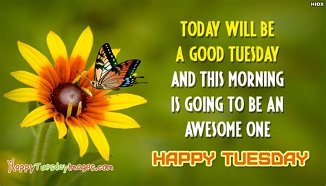 Happy Tuesday Sayings Today Will Be A Good 