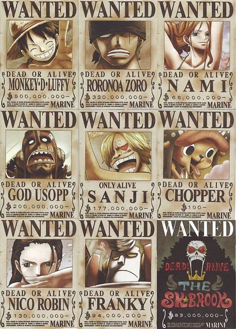 One Piece Wanted Poster Luffy