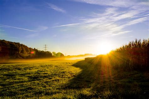Free Images Meadow Sunrise Morning Mist 0