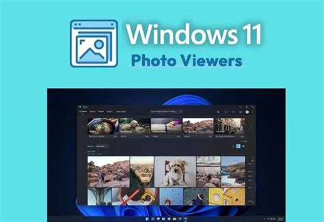 7 Best Photo Viewers For Windows 11 In 2022 In 2022 Photo Viewer