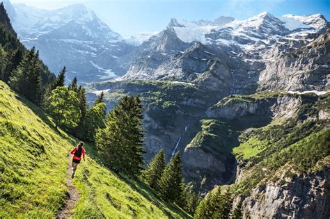 Introducing Alpsinsight Inspiring Mountain Experiences