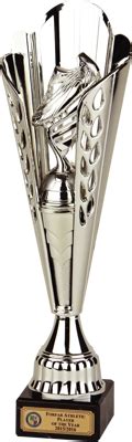 Cup Trophies Tower Cup Silver Football Trophy (3D) | Football trophy, Football trophies, Trophy