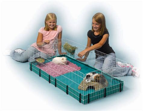 Large Guinea Pig Cages