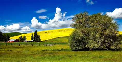 Clouds Countryside Field Grass Landscape Meadow Rural Sky Sunny